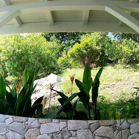 Villa Cana Et Son Spa A Terre De Haut Exterior photo